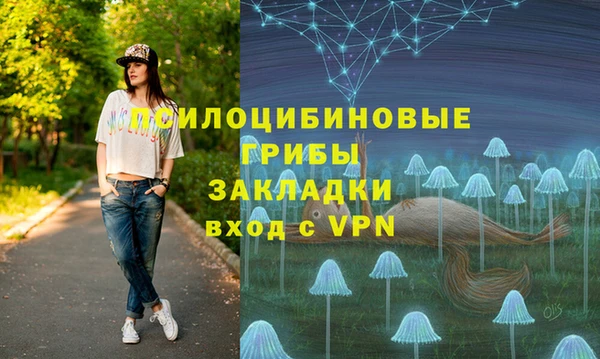 ГАЛЛЮЦИНОГЕННЫЕ ГРИБЫ Козловка