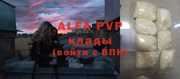 ГАЛЛЮЦИНОГЕННЫЕ ГРИБЫ Козловка