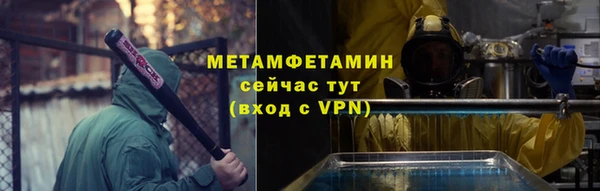 ГАЛЛЮЦИНОГЕННЫЕ ГРИБЫ Козловка