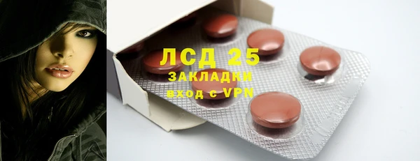 ГАЛЛЮЦИНОГЕННЫЕ ГРИБЫ Козловка