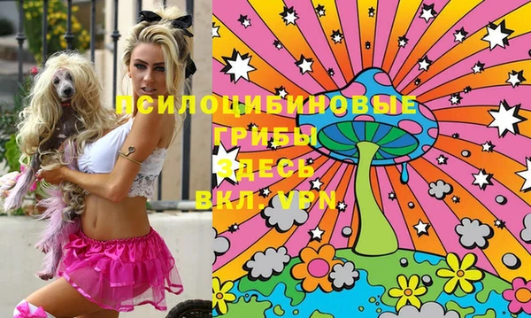 ГАЛЛЮЦИНОГЕННЫЕ ГРИБЫ Козловка
