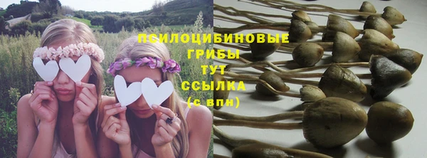 эйфоретик Костерёво