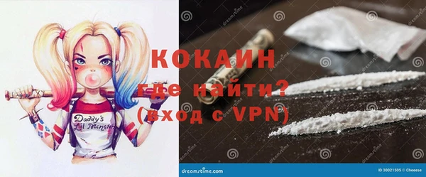 ГАЛЛЮЦИНОГЕННЫЕ ГРИБЫ Козловка