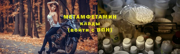 ГАЛЛЮЦИНОГЕННЫЕ ГРИБЫ Козловка